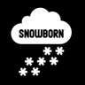 Snowborn Games