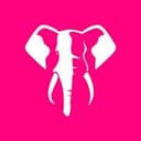 Elephant Bet