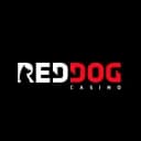 Red Dog