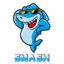 Smashup Partners