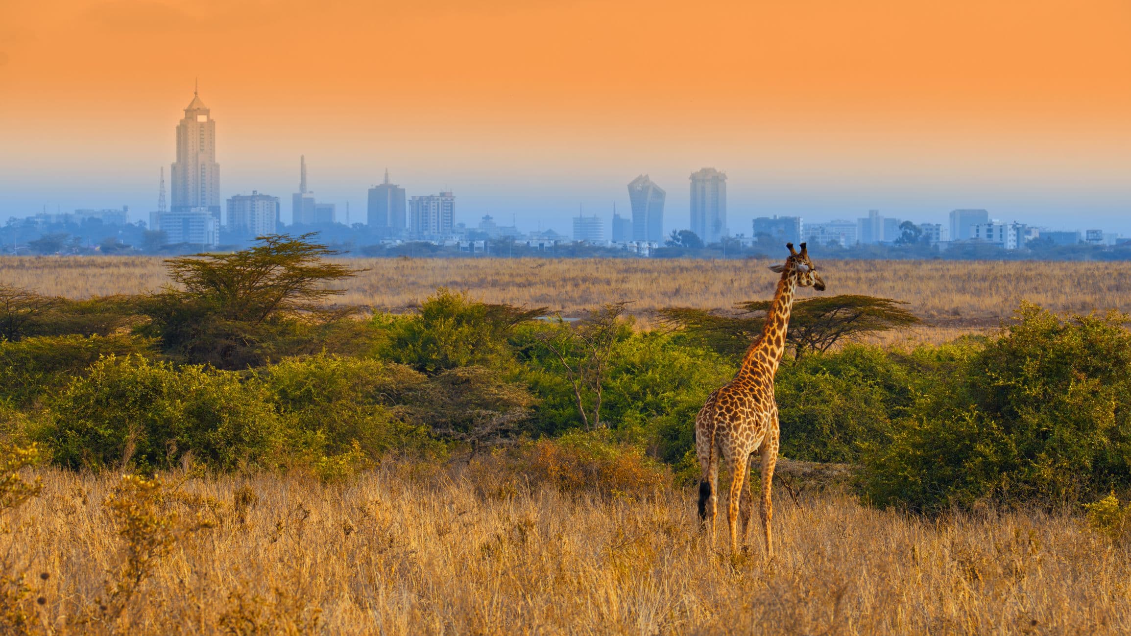 El mercado de iGaming en África presenta crecimiento y desafíos