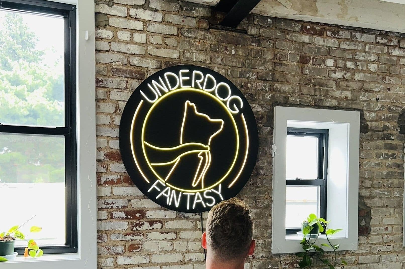 Underdog Rips digital sports card packs and announcement on a screen, highlighting Drafts suspension