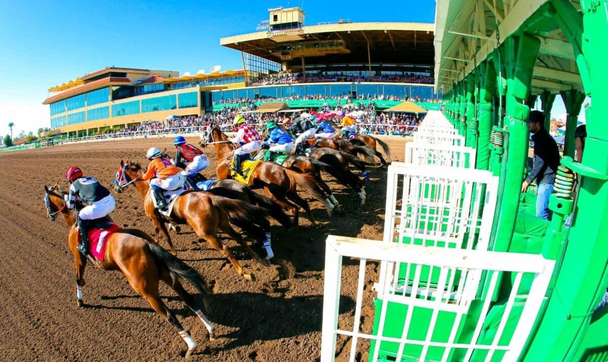 Exterior of Turf Paradise Racecourse with an empty paddock and closed gate following regulatory suspension