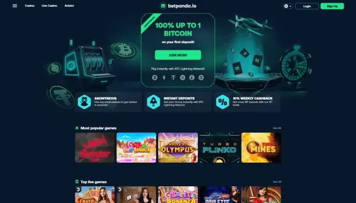 Betpanda.io Casino website screenshot
