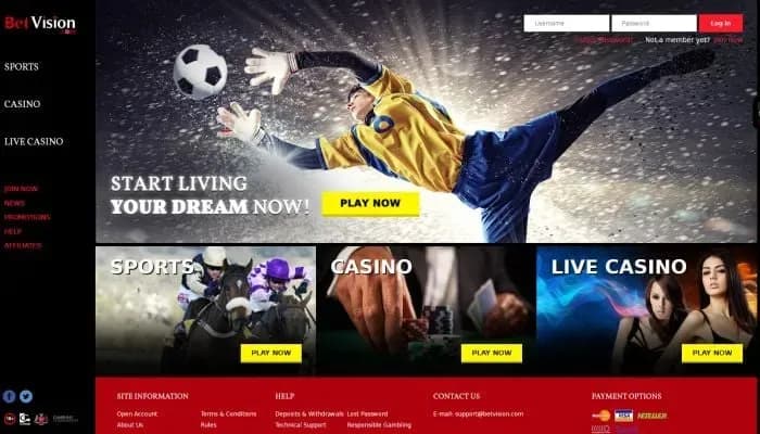 BetVision Casino website screenshot