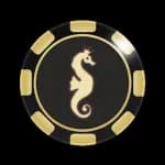 Casino Cruise
