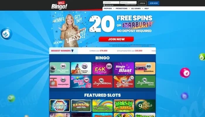 Daily Record Bingo Casino website screenshot