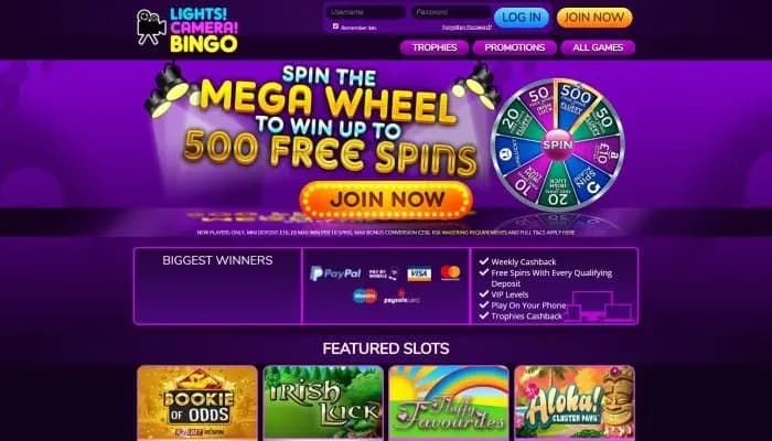 Lights Camera Bingo Casino website screenshot