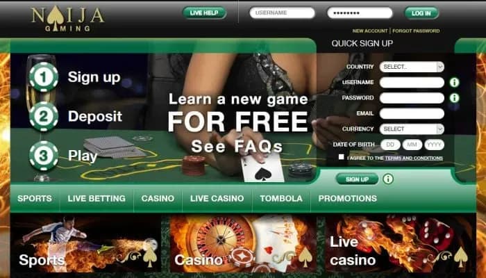 Naija Gaming Casino website screenshot