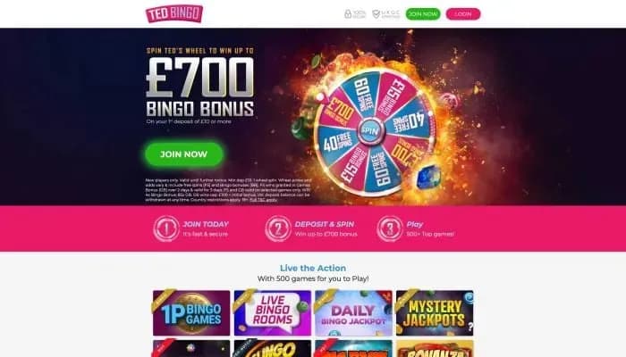 Ted Bingo Casino website screenshot