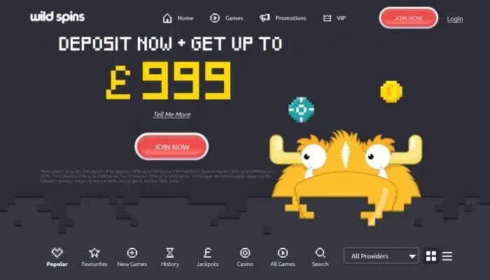 Wild Spins Casino website screenshot