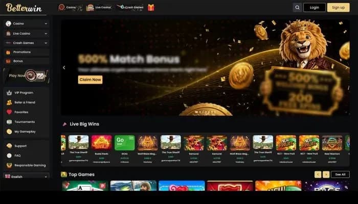 Captura del sitio web de Betterwin Casino
