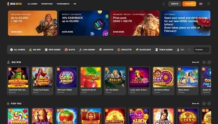 Captura del sitio web de BigWin Casino