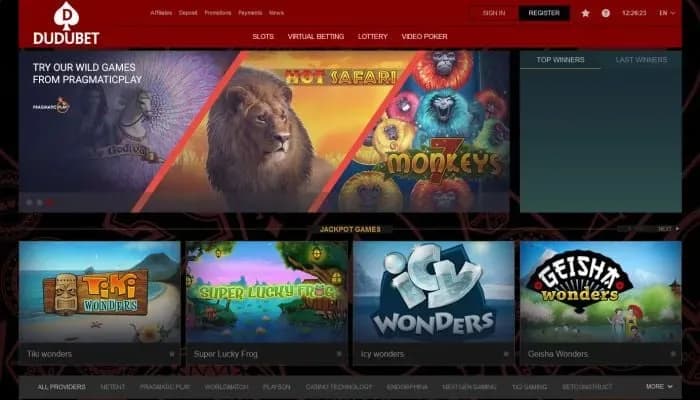 Captura del sitio web de DuduBet Casino