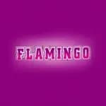 Flamingo Club Casino