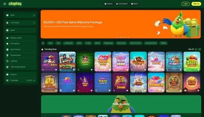 Captura del sitio web de RioPlay Casino