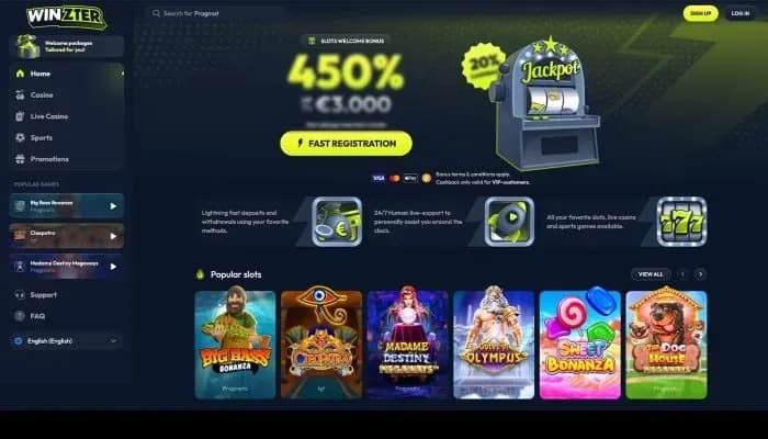 Captura del sitio web de Winzter Casino